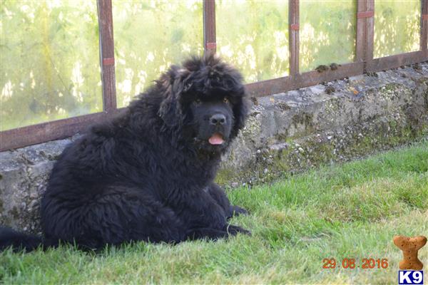 Anastasya Picture 2